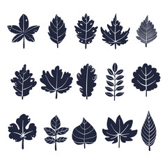 Set of leaves 