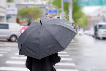 The back of a person with a black umbrella on a rainy day
