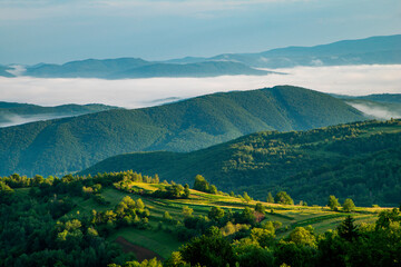 Naklejka premium mountains in the fog at sunrise. Beautiful landscape.
