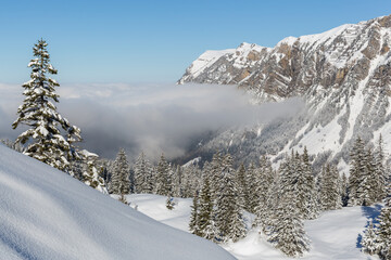 Fototapeta na wymiar snow covered alpine winter landscape with Fronalpstock mountain in Uri