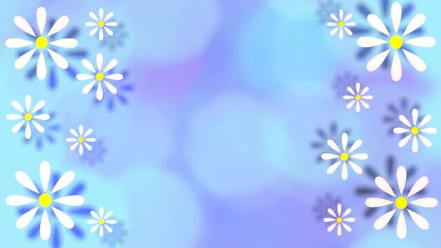 beautiful animation with daisies on a blue background