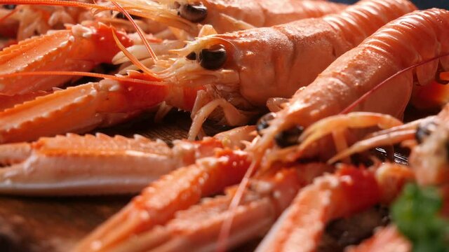 Fresh seafood huge sea shrimps 