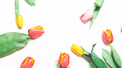 Creative composition of tulip flowers on a white background. flat lay