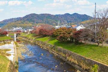 Fototapeta na wymiar 竜田川の堤防を彩る秋の紅葉