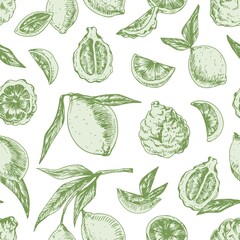 Seamless pattern with limes, bergamots and leaves on white background. Design of endless repeatable texture with green citrus fruits. Hand-drawn colored vector illustration for printing and decoration