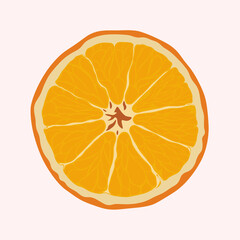
Illustration of an orange, cut view