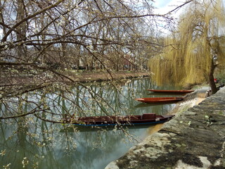 Stocherstangen auf dem Neckar, Tübingen, Deutschland