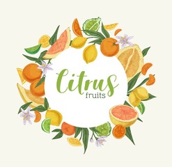 Card template design with circle-shaped frame of mixed citrus fruits. Hand-drawn swirl with tropical oranges, lemons, bergamot, pomelo, tangerines and limes. Colored vector illustration
