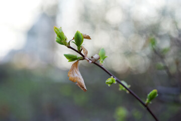 Banner hello april. Hi spring. Hello April. Welcome card We are waiting for the new spring month. The second month of spring. High quality photo