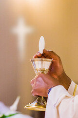 hands of the pope celebrated the Eucharist with body and blood of christ - obrazy, fototapety, plakaty
