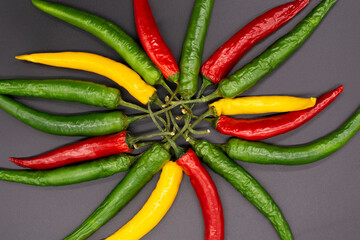 colorful chili pepper on a black background