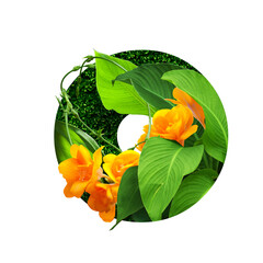 floral botanical alphabet. letter o with plants and flowers decoration.