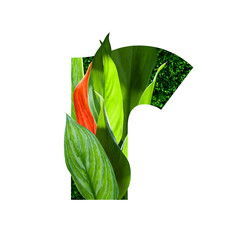 floral botanical alphabet. letter r with plants and flowers decoration.
