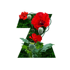 floral alphabet font letter z with flowers and leaves, isolated on white background