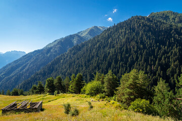 Obraz premium Beautiful mountain landscape in summer