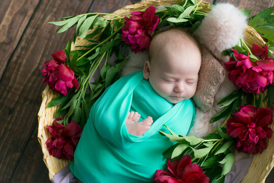 Baby girl in a wicker basket of vine decorated with  burgundy peonies   pink fur in a mint blanket . Spring photo. Flowers and children. Happy motherhood 
