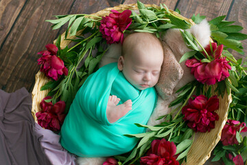 Baby girl in a wicker basket of vine decorated with  burgundy peonies   pink fur in a mint blanket . Spring photo. Flowers and children. Happy motherhood 