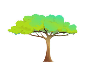 Cartoon tree alone in African style with wide green crown isolated on white. Vector clipart illustration in watercolor style.