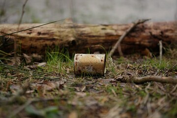 Garbage In The Forest - Tin