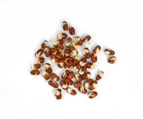 Sprouted azuki beans isolated on white. Super food.