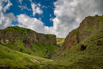 Beautiful mountain landscape in summer