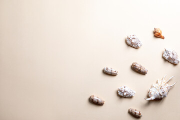 summer composition with different seashells on beige background. copy space