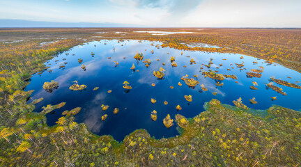 Aerial view of a raised bog