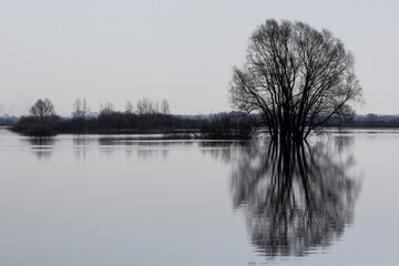 The river overflowed its banks. Spring flood of the river.