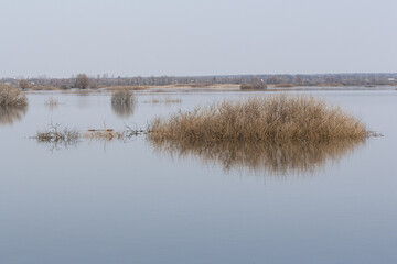 Naklejka premium The river overflowed its banks. Spring flood of the river.