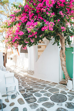 Fototapeta The narrow streets of the island with blue balconies, stairs and flowers in Greece.