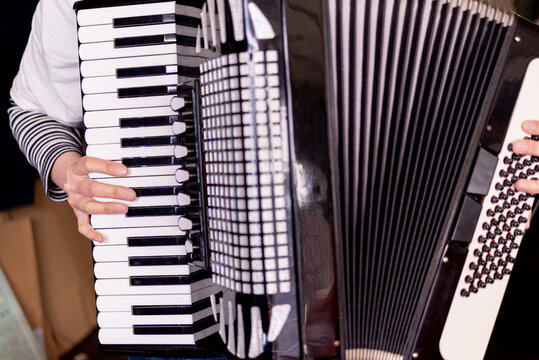 アコーディオン Images Browse 1 302 Stock Photos Vectors And Video Adobe Stock アコーディオン Images Browse 1 302 Stock Photos Vectors And Video Adobe Stock