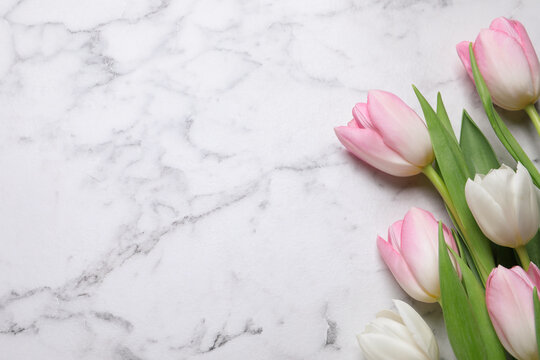 Beautiful tulips  on white marble table, flat lay. Space for text