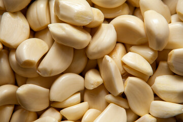 image of clean garlic background