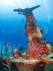 Part of a shipwreck (Mama Vina Wreck, Playa del Carmen, Quintana Roo, Yucatan, Mexico in 2012)