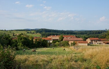 Fototapeta na wymiar Countryside in the department of Saône-et-Loire in Bourgogne-Franche-Comté in France