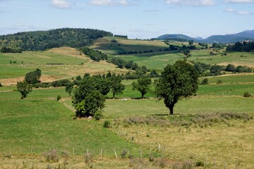 Fototapeta na wymiar Countryside near Clermont-Ferrand in Puy-de-Dôme in Central France