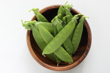 pod bean on white background with copy space