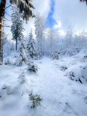 Winterlandschaft