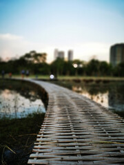 Bamboo bridge with blur background.