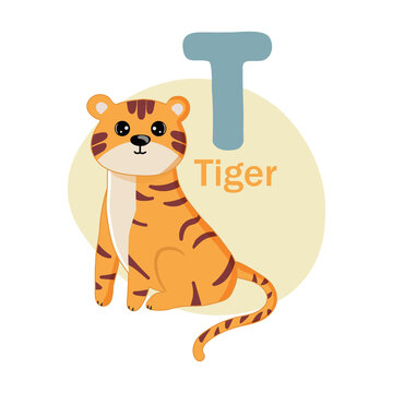 Animals alphabet. Cute tiger isolated on white background. Vector illustration for teaching children learning a foreign language. Letter t