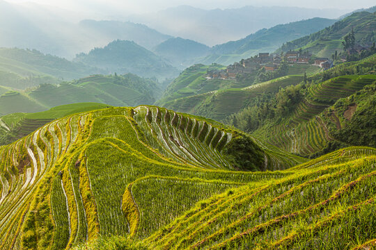 Landscape in early morning light with the traditional Longsheng rice terraces and the little village of Dazhai, Guangxi Province, China