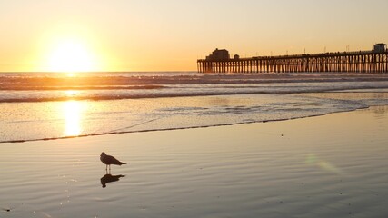 Wooden pier silhouette at sunset, California USA, Oceanside. Waterfront surfing resort, pacific...
