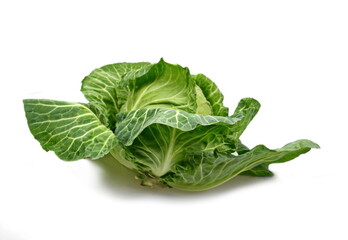Cabbage isolated on white background. Fresh green cabbage.