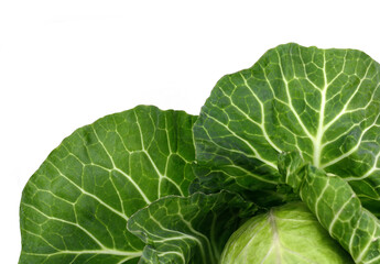 Fototapeta premium Cabbage isolated on white background. Fresh green cabbage.