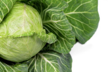 Cabbage isolated on white background. Fresh green cabbage.