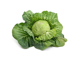 Cabbage isolated on white background. Fresh green cabbage.