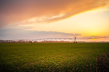 Automated farming irrigation system in sunset