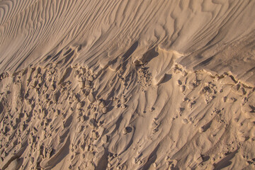 Wind patterns blown in the sand at the crest of a dune up close