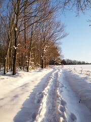 Winter in Thüringen