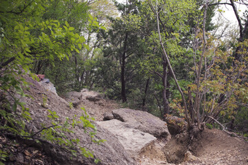 Fototapeta premium A rocky hiking trail down a steep cliff, make sure to wear good hiking footwear! 